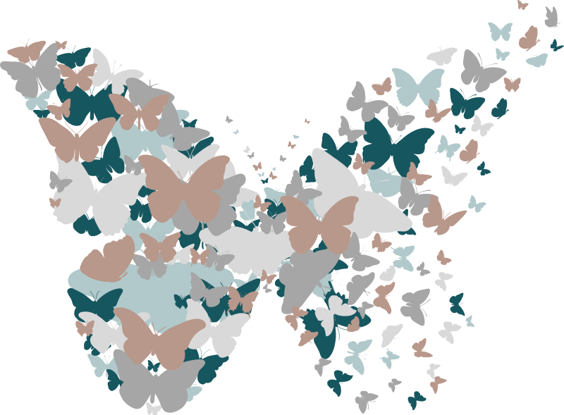 Pregnancy Support Center of Roanoke Rapids logo